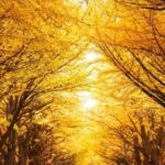 【必見!】理系大学生が遠隔講義で単位を落とさない / 高GPAをキープする20のコツ
