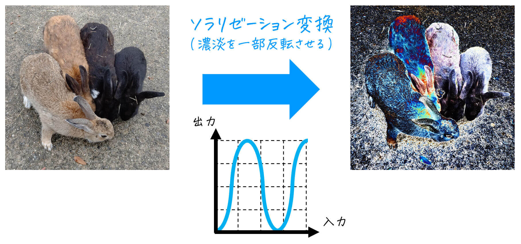 うさぎでもわかる画像処理　Part02　トーンカーブと画像処理 [Python・MATLABコード付き]